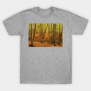 'The Dell' - Donyland Woods in September T-Shirt